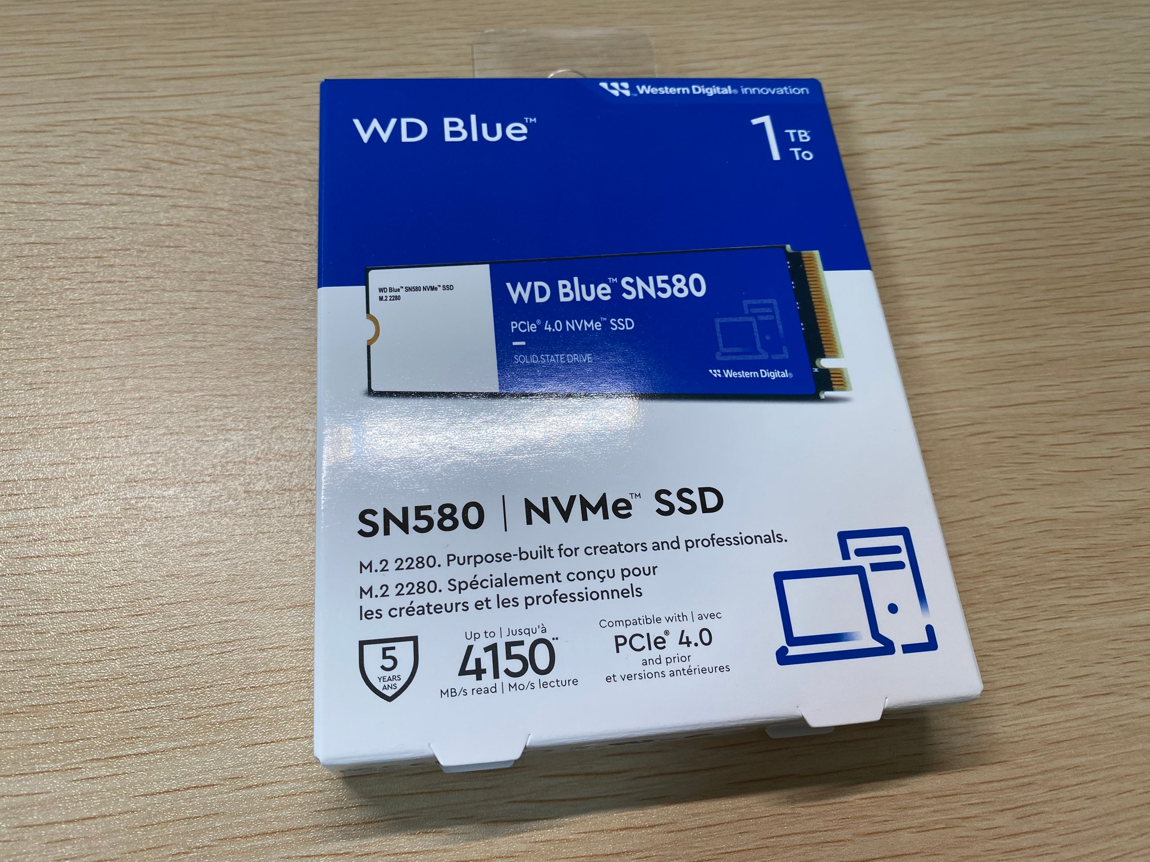 WDS100T3B0E